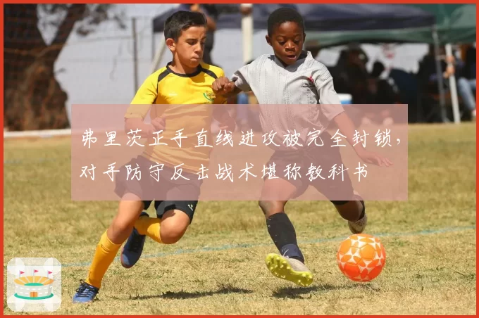 弗里茨正手直线进攻被完全封锁,对手防守反击战术堪称教科书
