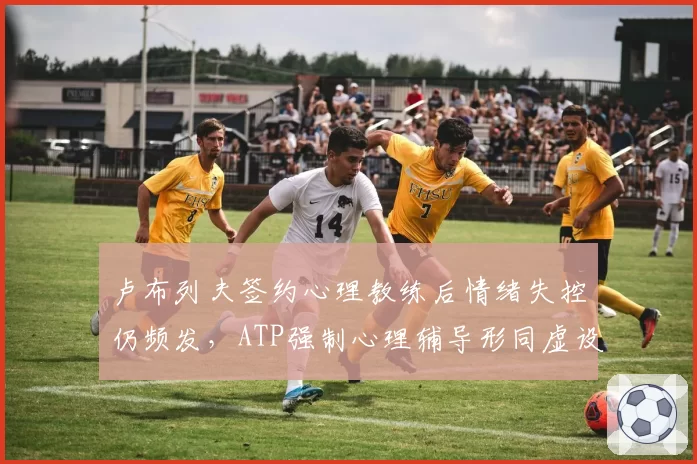 卢布列夫签约心理教练后情绪失控仍频发,ATP强制心理辅导形同虚设