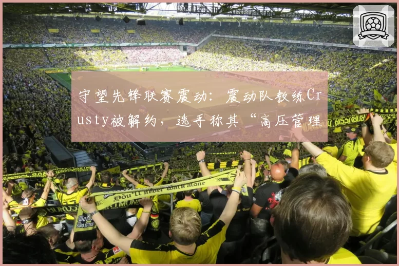 守望先锋联赛震动：震动队教练Crusty被解约，选手称其“高压管理”